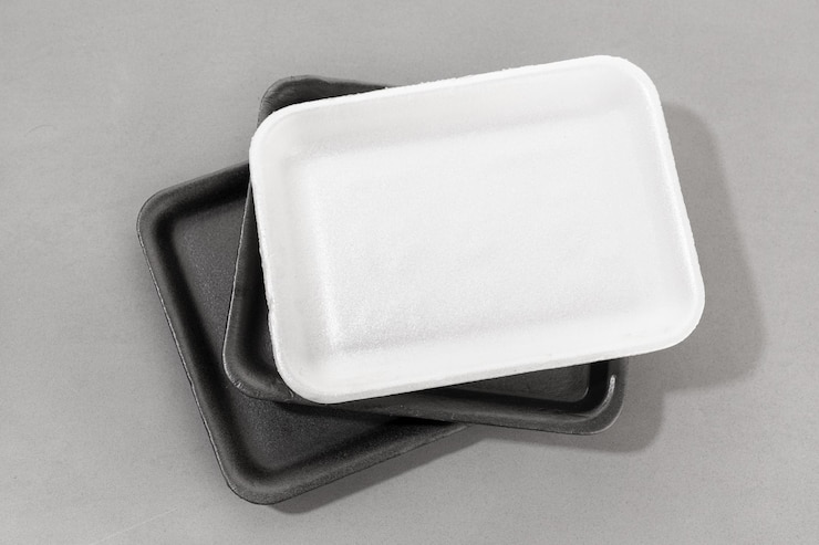 Disposable Bagasse Tray